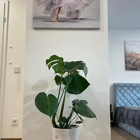 Malunininku Apartamentai 아파트 *