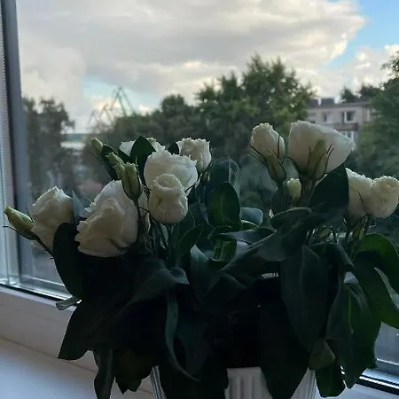 Malunininku Apartamentai